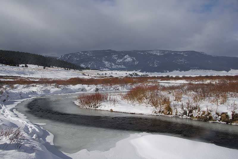 waterfowl spot freezes