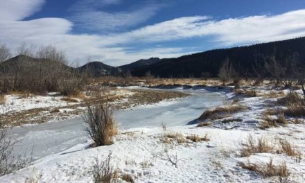 What to Do When Your Waterfowl Spot Freezes Over