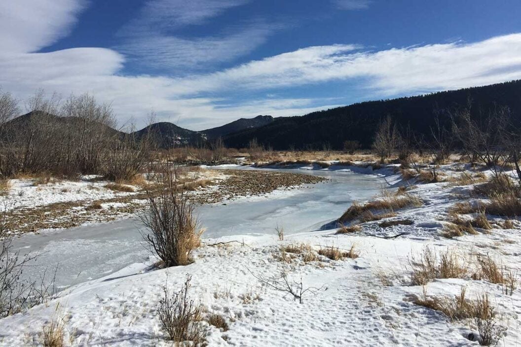 waterfowl spot freezes