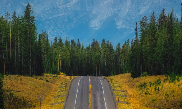 “Working” The Scene Assignment Winner Joung Ji Kang