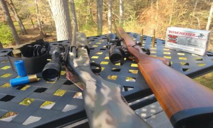 12-Gauge Slugs vs .270 Winchester: Which Ammo Stops Deer faster?