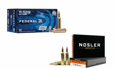 22-250 Remington Ammo: Speedy Options From the Factory