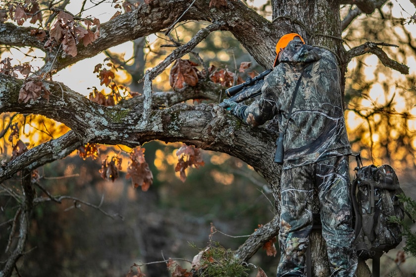 Choosing a Treestand Location