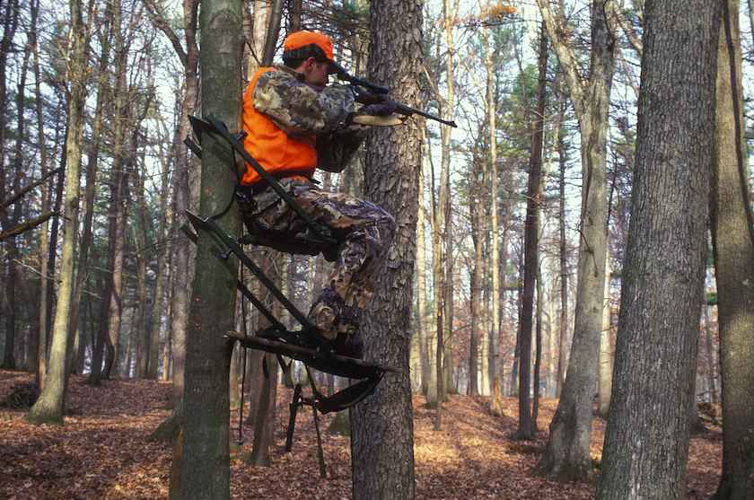 treestand maintenance