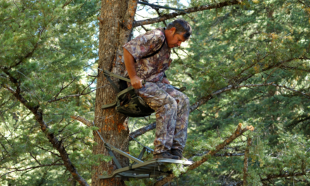 Best Practices for Post-Season Treestand Maintenance