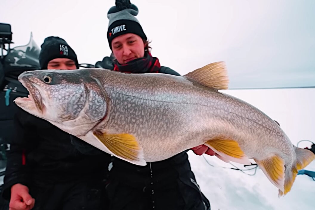 Lake Trout Spools Reel