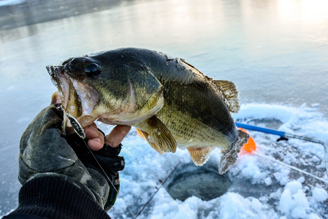 ice fishing for bass