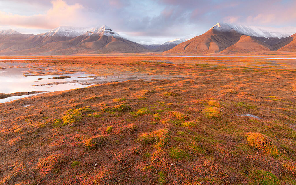 Why You Should Visit Svalbard In Norway For Photography