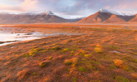 Why You Should Visit Svalbard In Norway For Photography