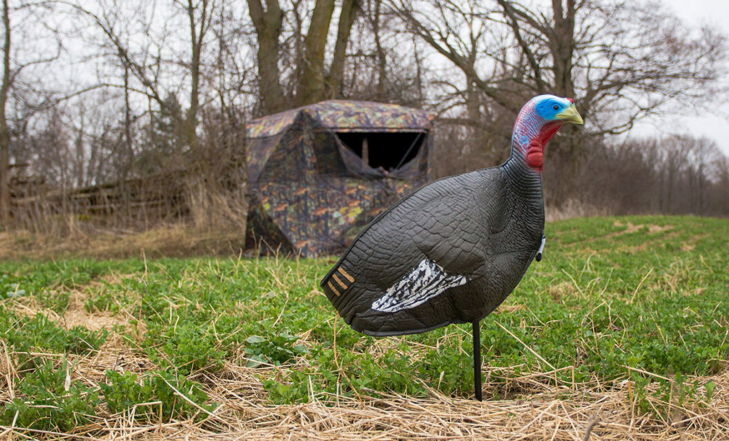 4 Classic Decoy Spreads to Use this Turkey Season