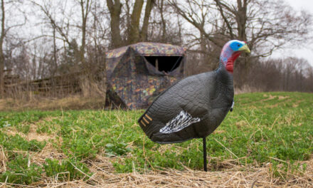 4 Classic Decoy Spreads to Use this Turkey Season