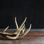 5 Tips to Find More Sheds this Year