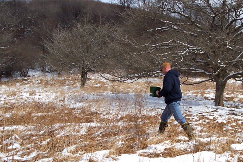 frost seeding