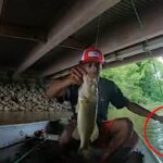 Bass Fisherman Unknowingly Drops Rod and Reel Overboard While Landing Big Fish