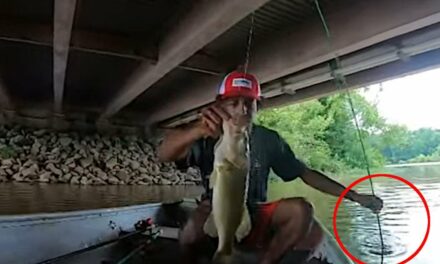 Bass Fisherman Unknowingly Drops Rod and Reel Overboard While Landing Big Fish