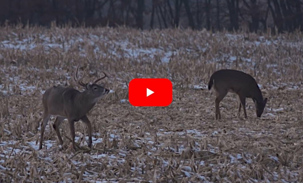 Father Unselfishly Gives Up Chance at Season Target Iowa Buck to His Daughter