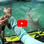 Kayak Angler Nearly Gets Swamped By Shark Lunging At His Catch