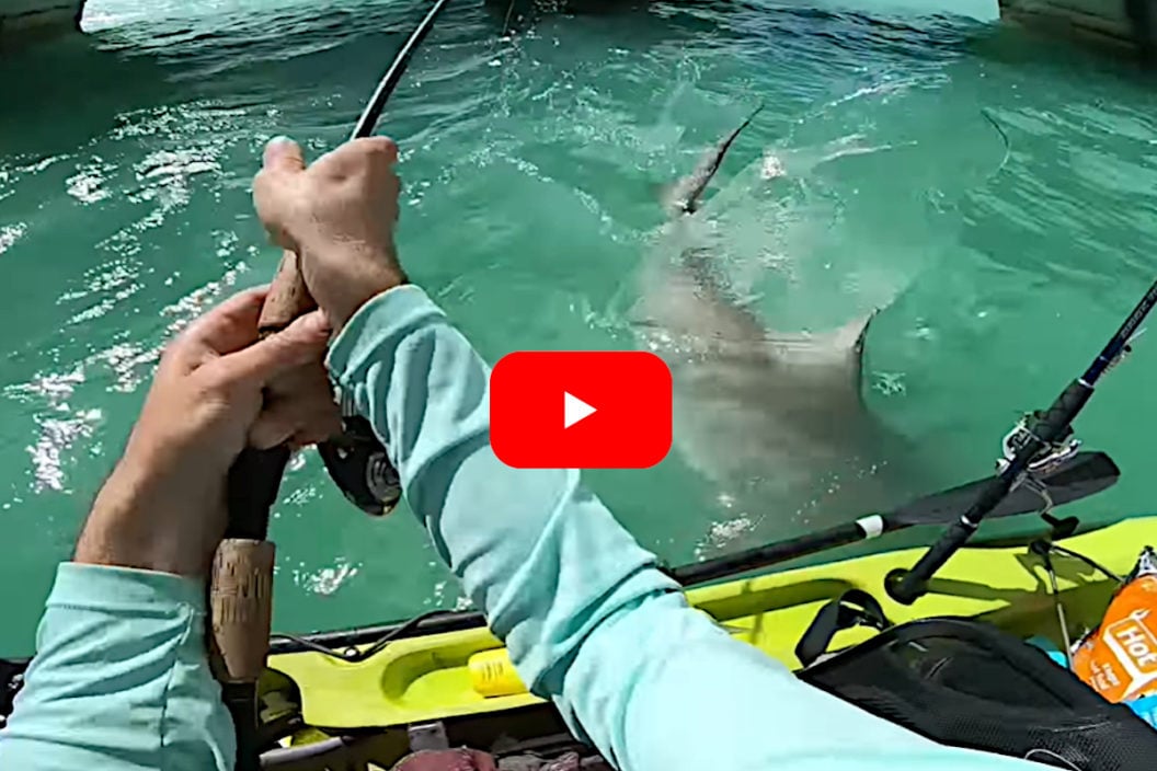 Shark Kayak