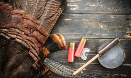 Mouth Call, Box and Slate: Which Turkey Hunting Scenario Calls for Each One?