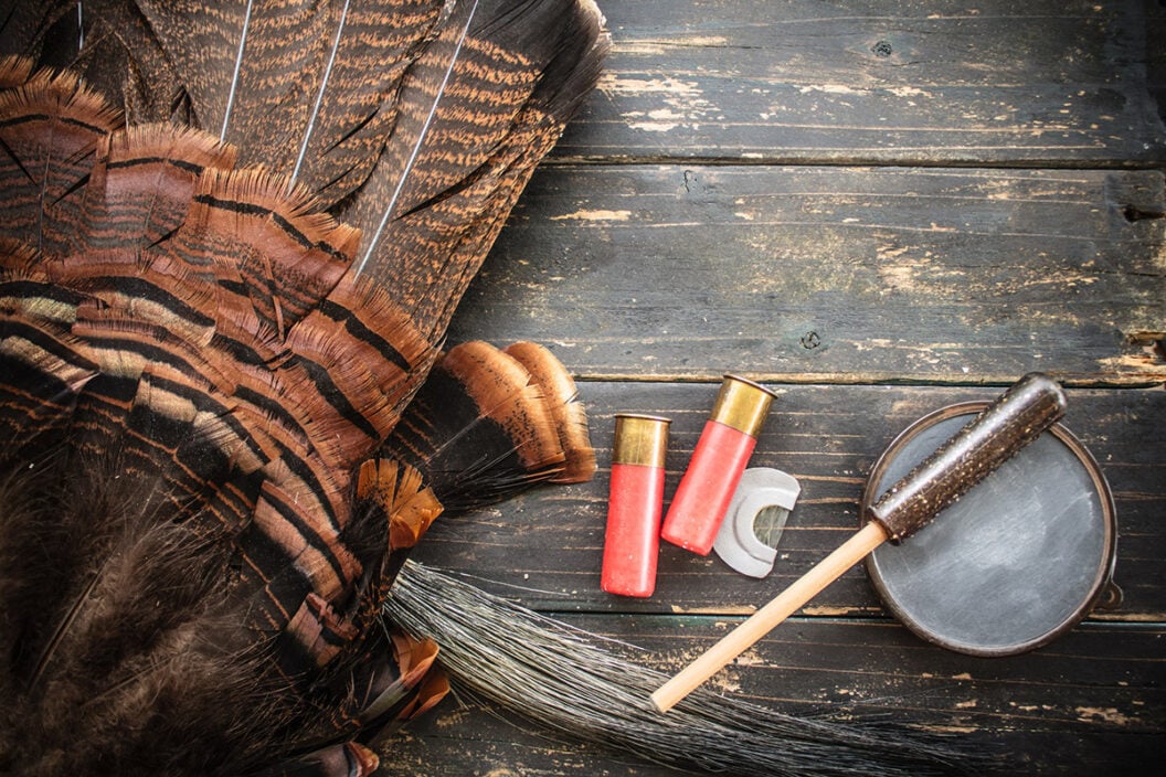 turkey calls