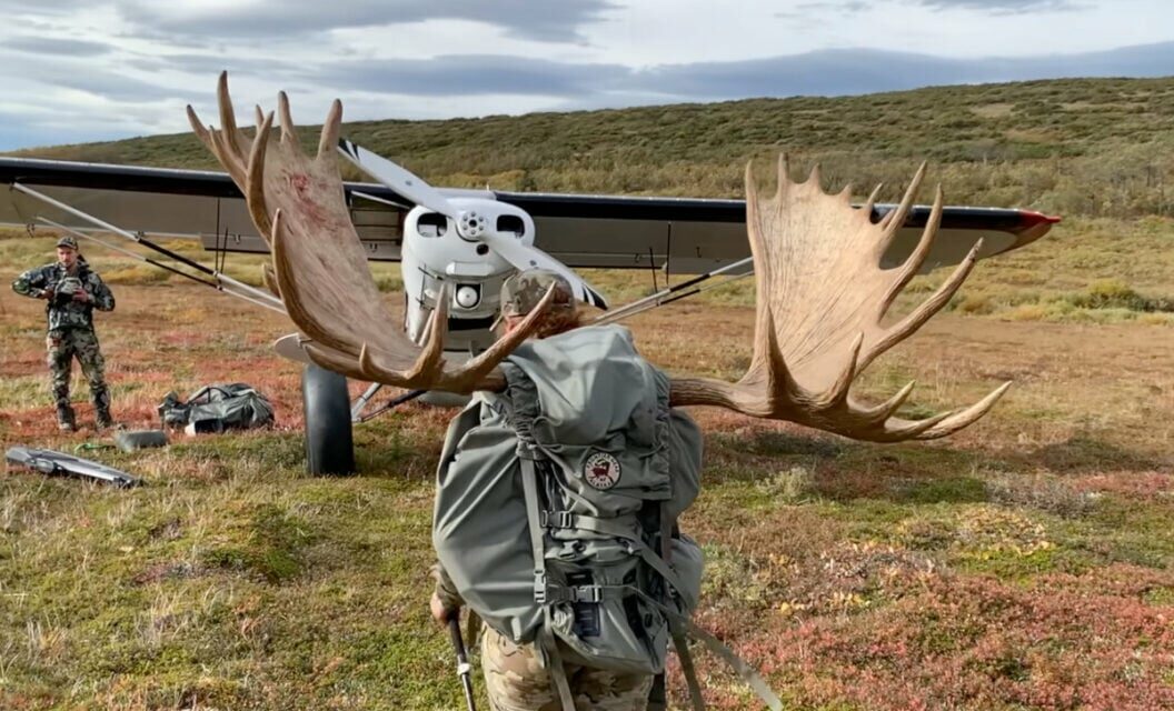 Woman Shoots Monster Alaskan Bull Moose 300 Yards Offhand
