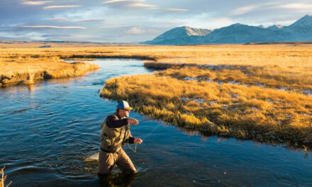Fly Fishing 101: The Essential Gear Every Beginner Needs