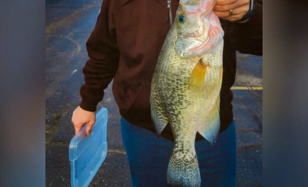 Kansas White Crappie Record Broken With ‘Catch of a Lifetime’