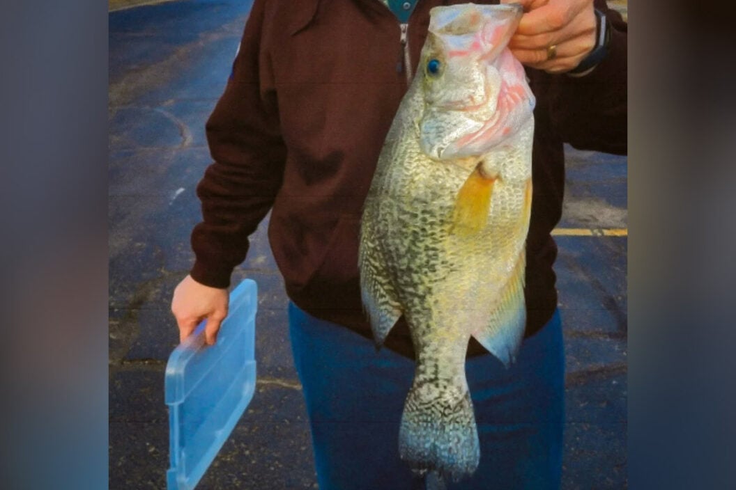 kansas crappie record