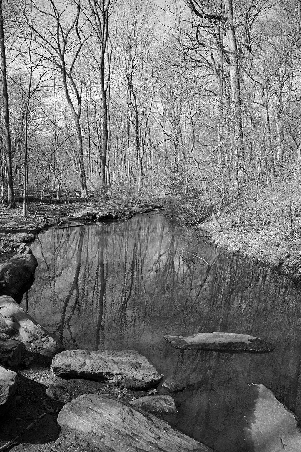 Photo of Central Park