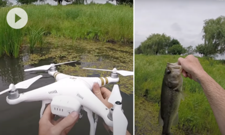Man Attempts Drone Fishing, Only to Lose Drone to Fish