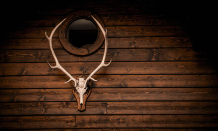 The Record-Shattering, 200-Inch Buck Shot That Sat Forgotten for Decades