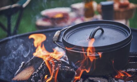 10+ Delicious Dutch Oven Recipes for Camping