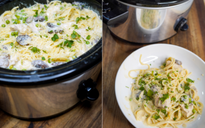 Slow Cooker Wild Turkey Tetrazzini Recipe