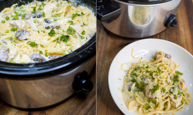 Slow Cooker Wild Turkey Tetrazzini Recipe