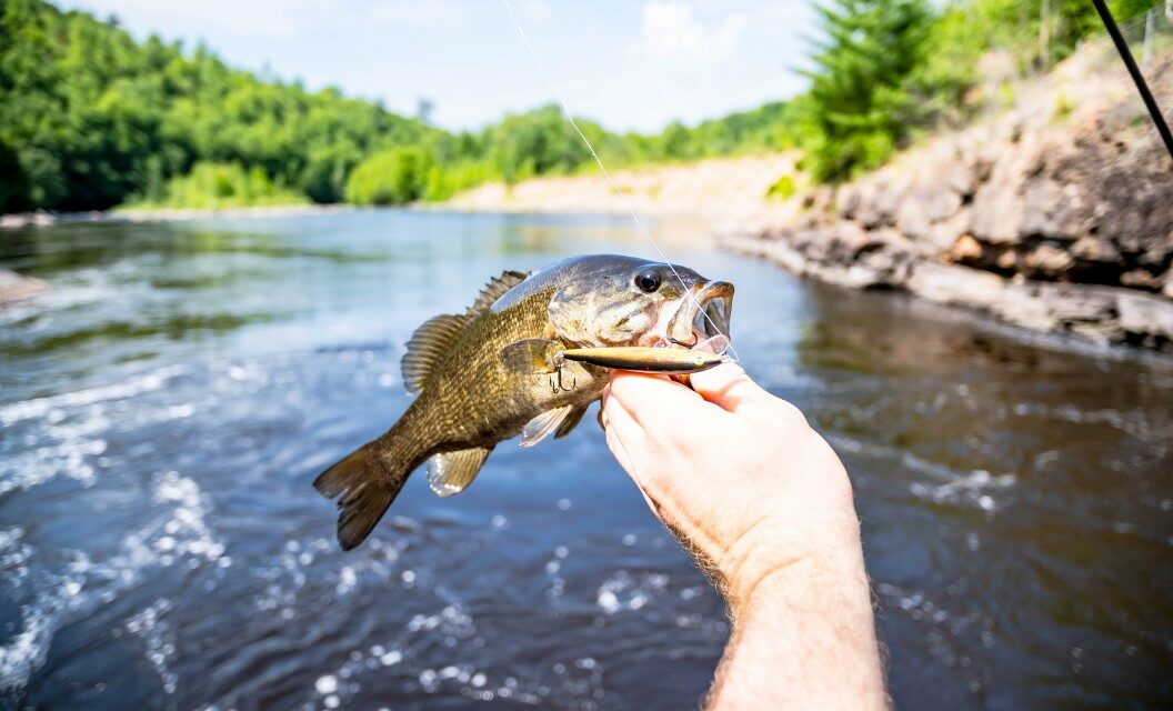 Spring Bass Fishing Tips for Better Success During Spawn Season