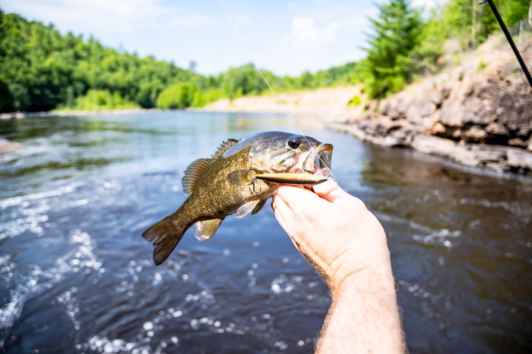 Smallmouth bass fishing